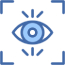 vision icon